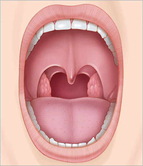 https://www.s-shika-clinic.com/asset/oral_cavity.jpg