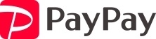 pay pay