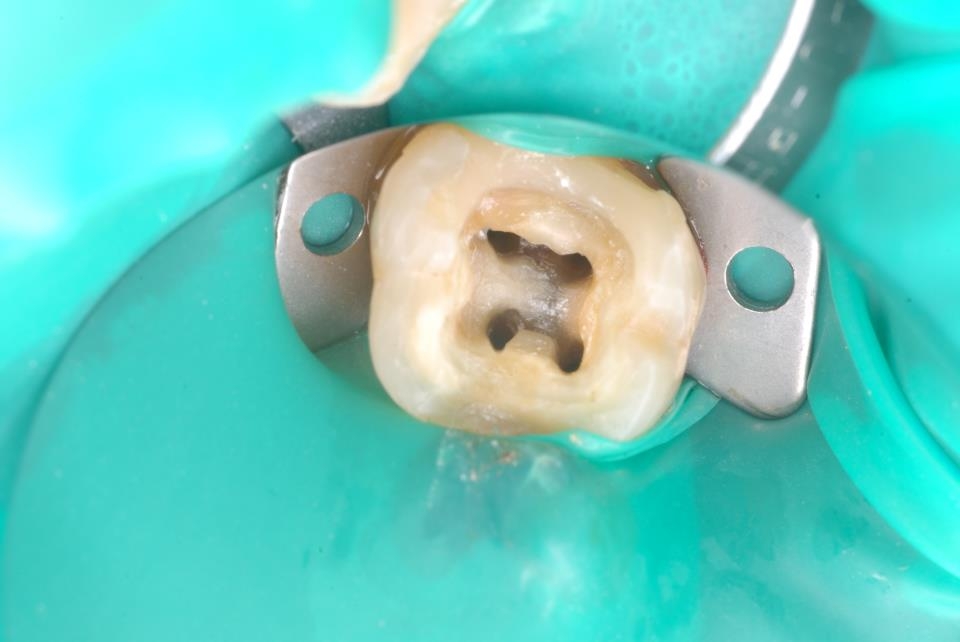 https://www.s-shika-clinic.com/asset/DSC_6653.jpg