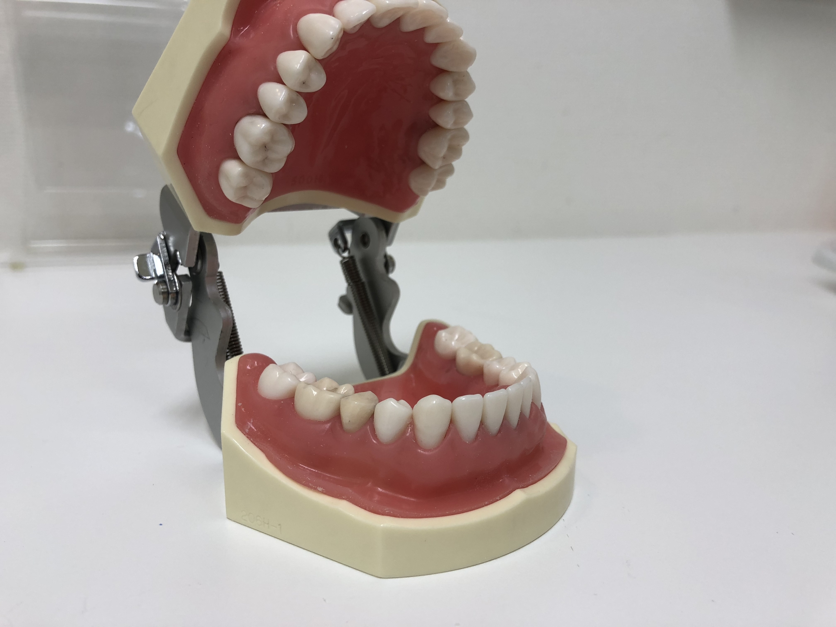 https://www.s-shika-clinic.com/asset/image1%20%2830%29.jpeg
