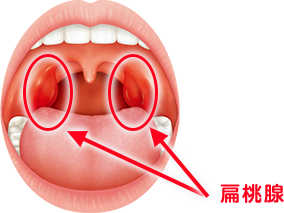 https://www.s-shika-clinic.com/asset/img_mechanism_01.png